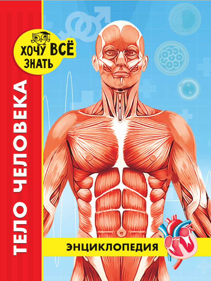 Энциклопедия. Для детей.Тело человека, А4, 217х280х17 мм, 978-5-378-28872-4