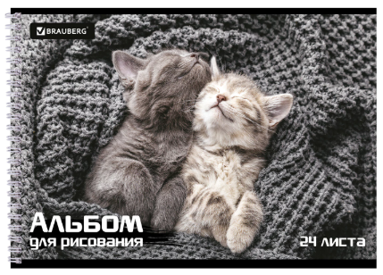 Снимок экрана 2026-08-14 194843